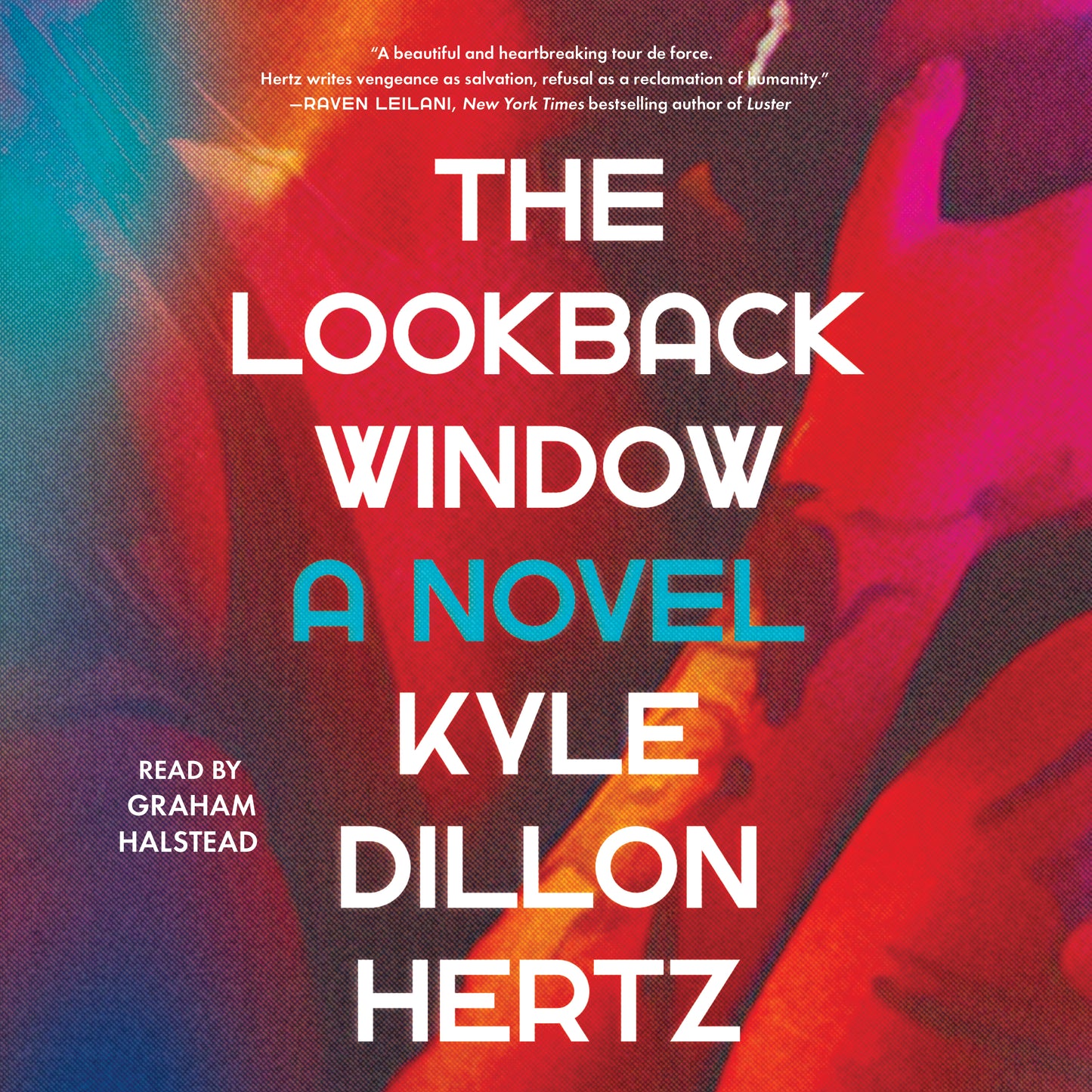 Lookback Window: A Novel