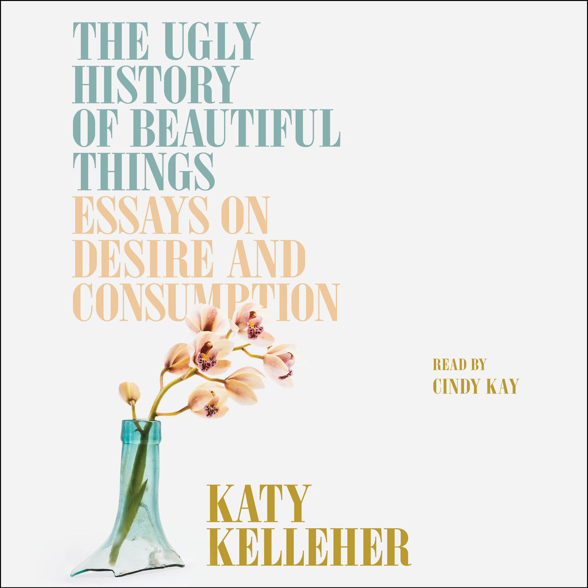 Ugly History of Beautiful Things: Essays on Desire and Consumption