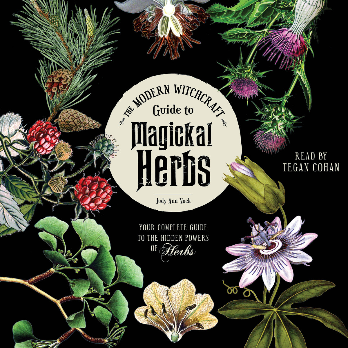 Modern Witchcraft Guide to Magickal Herbs: Your Complete Guide to the Hidden Powers of Herbs