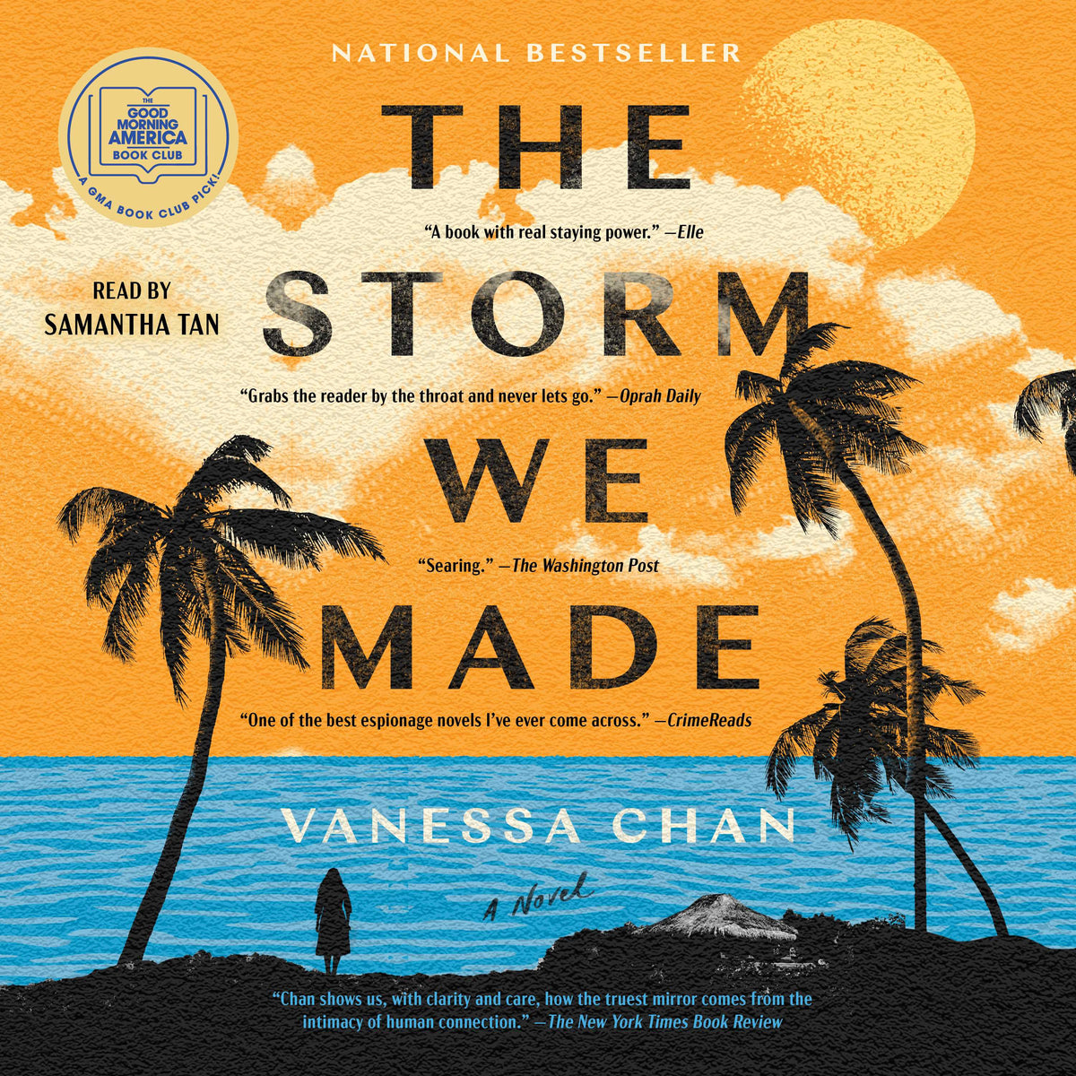 Storm We Made: A Novel