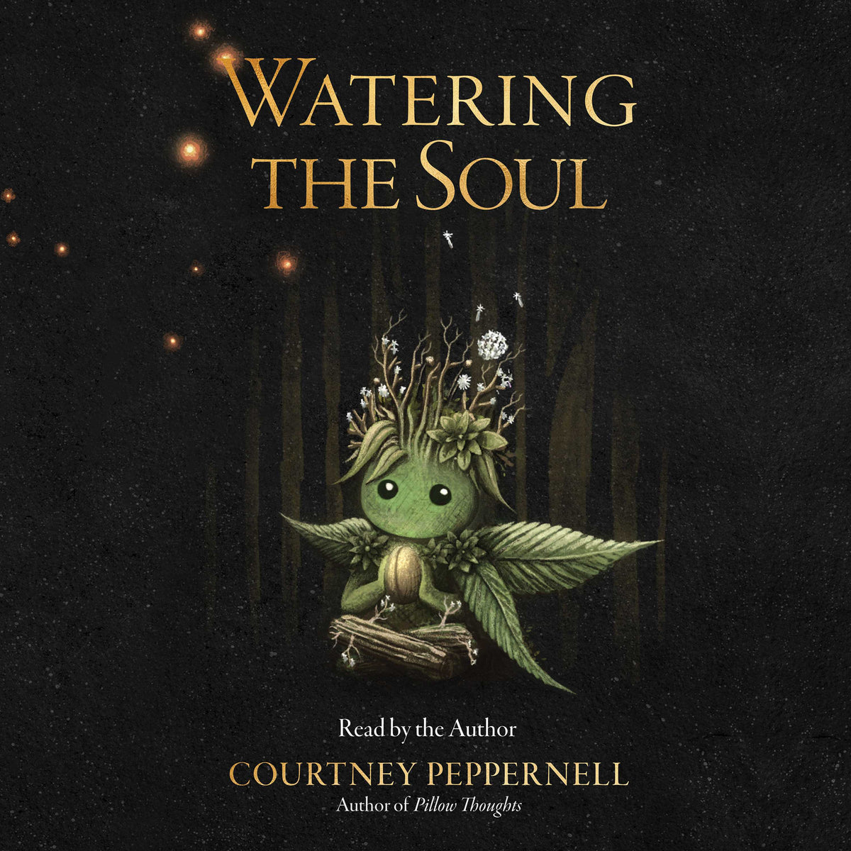 Watering the Soul