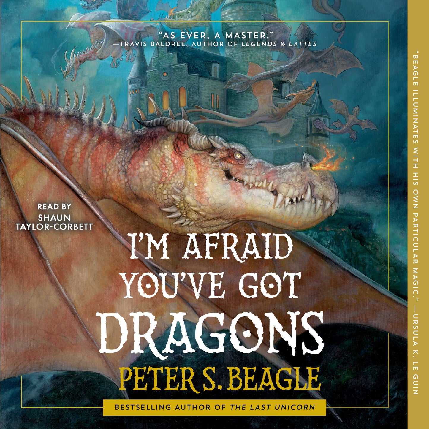 I'm Afraid You've Got Dragons
