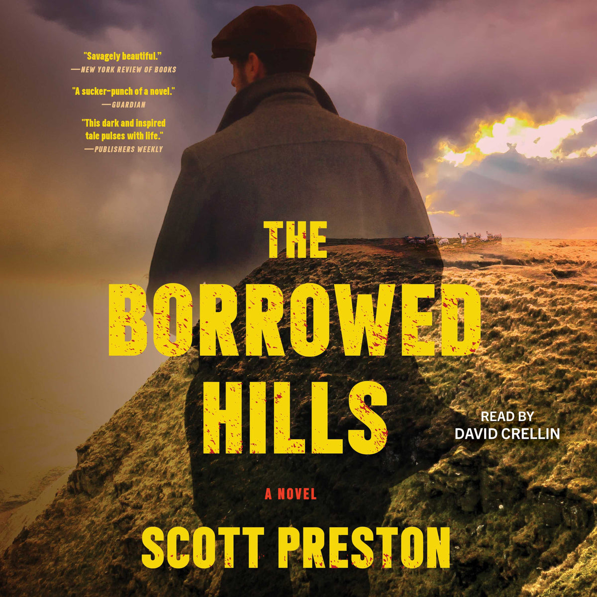 Borrowed Hills: A Novel