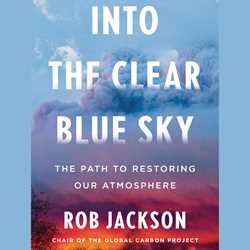 Into the Clear Blue Sky