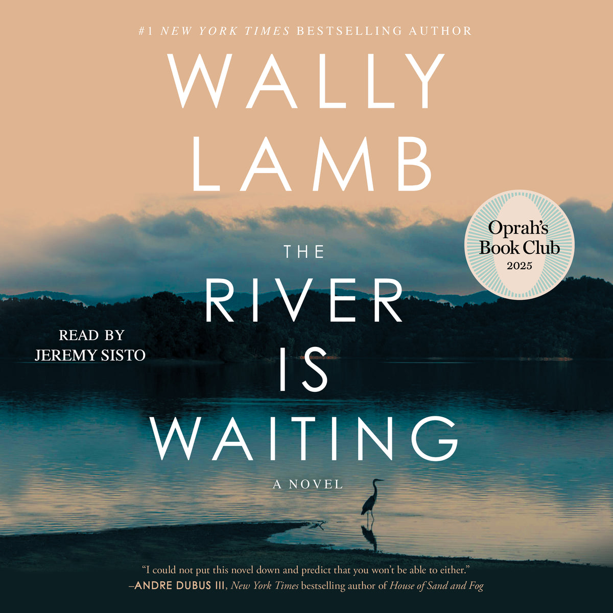 River Is Waiting (Oprah's Book Club)