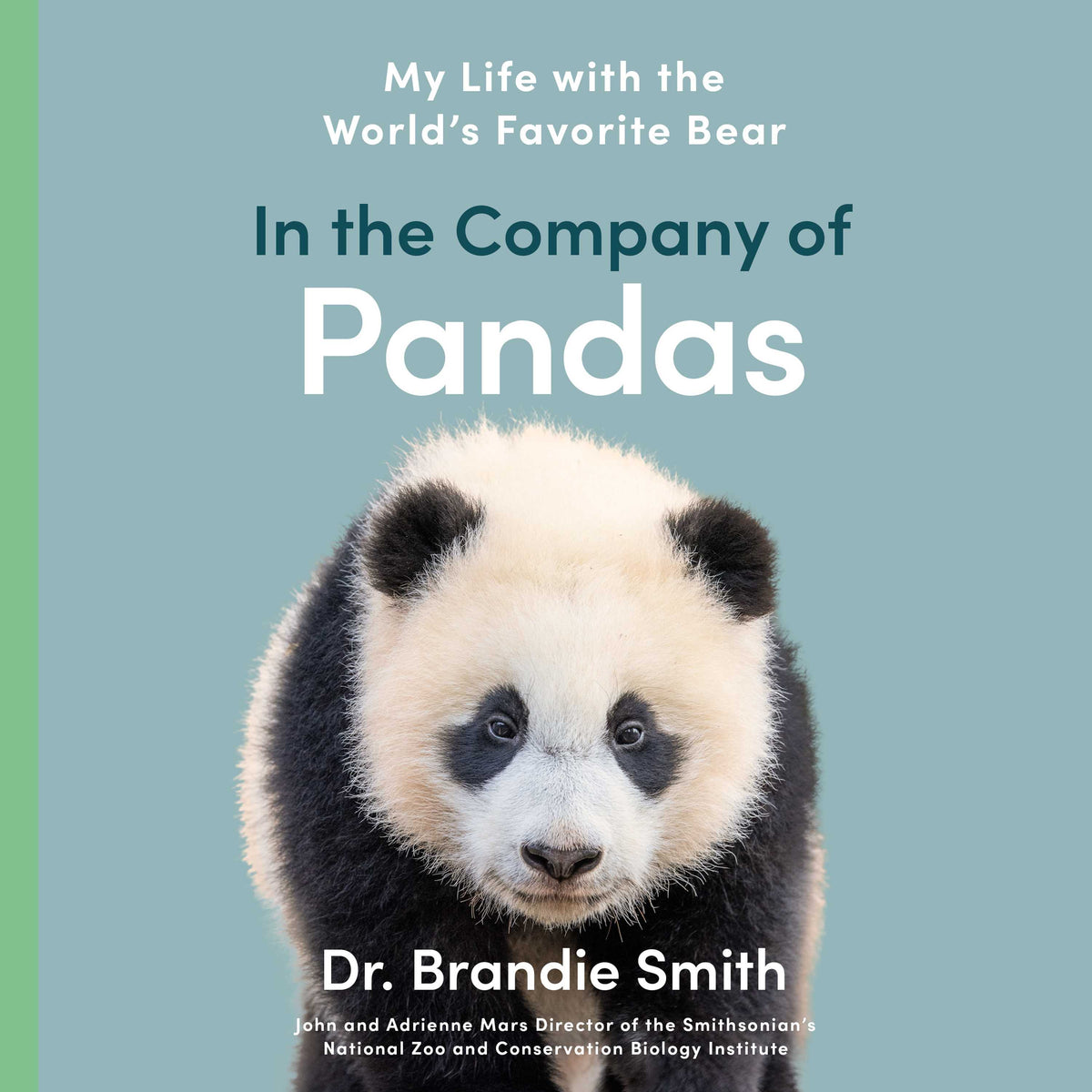 In the Company of Pandas