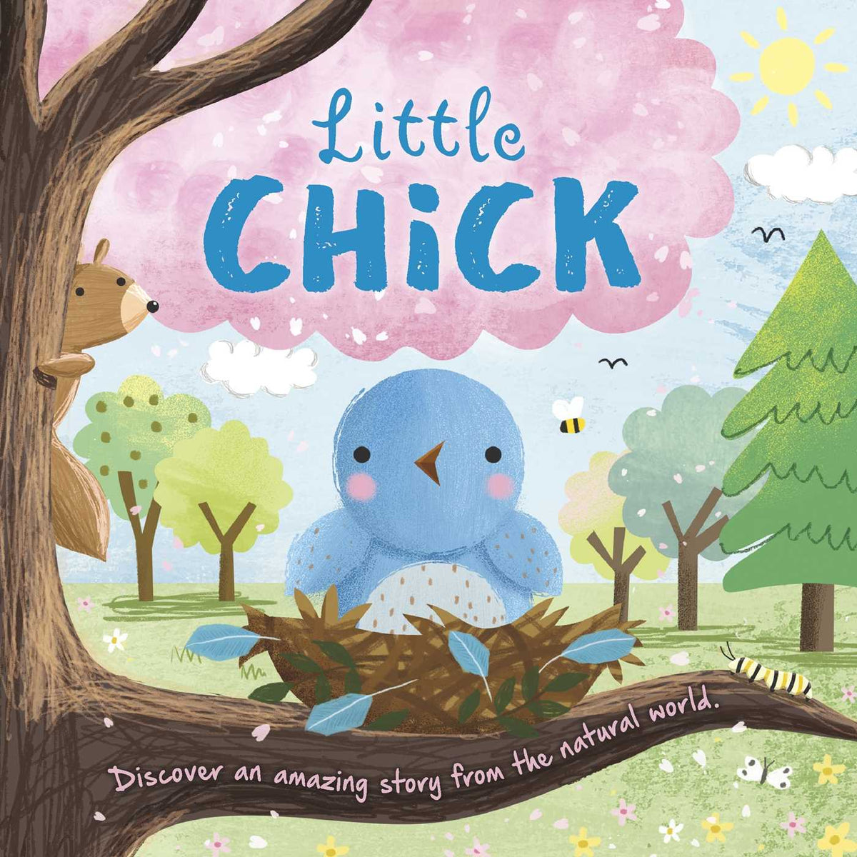 Nature Stories: Little Chick-Discover an Amazing Story from the Natural World