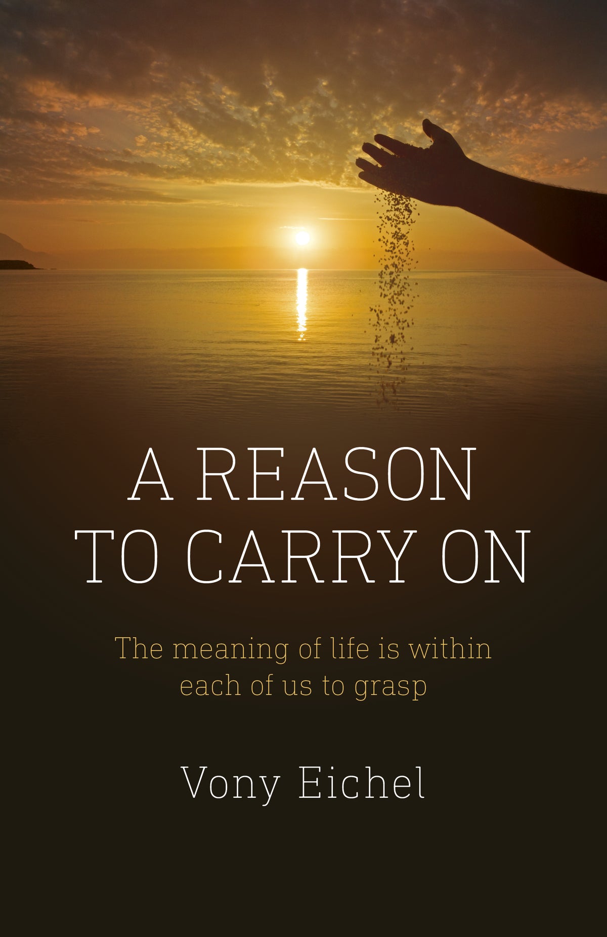 Reason to Carry On: The Meaning of Life is Within Each of Us to Grasp