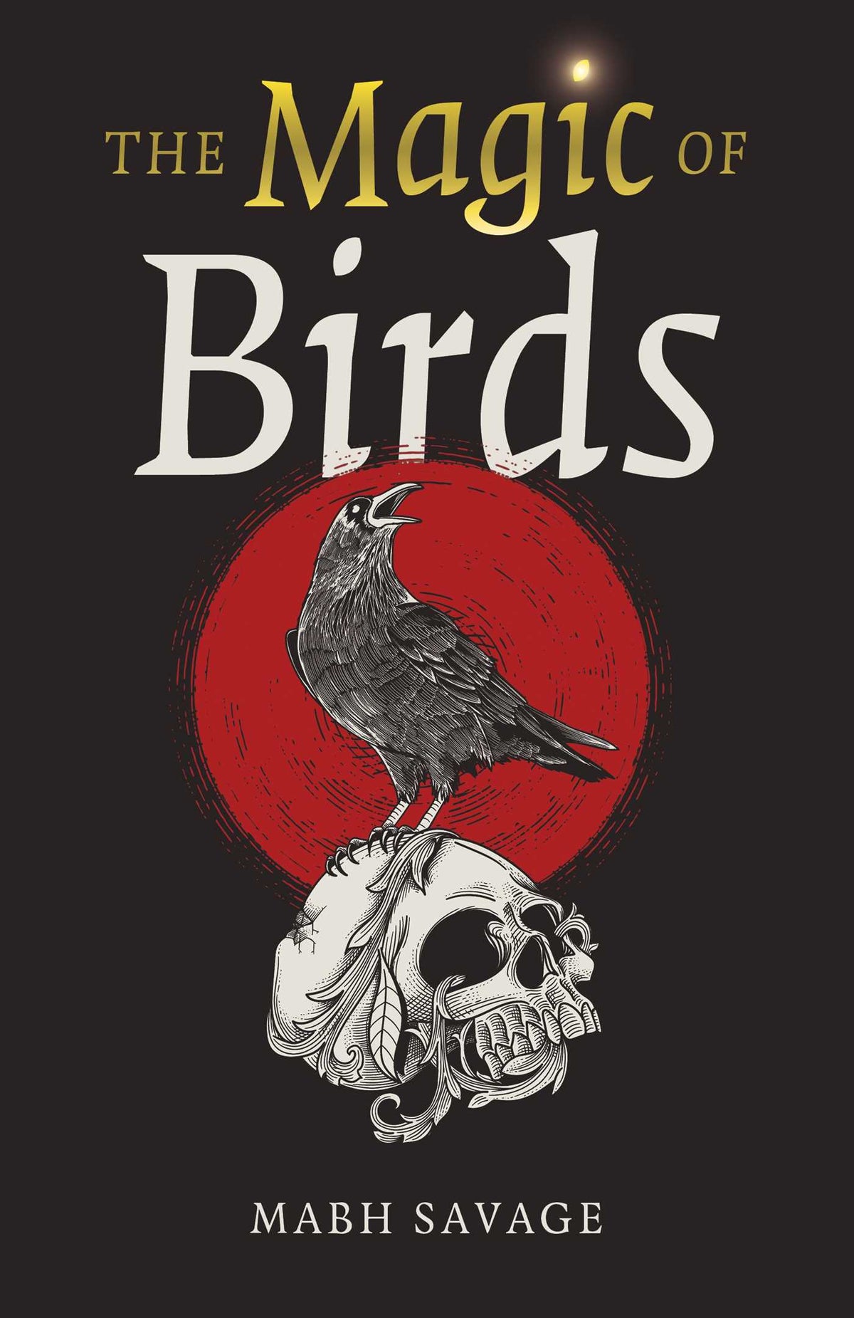 Magic of Birds
