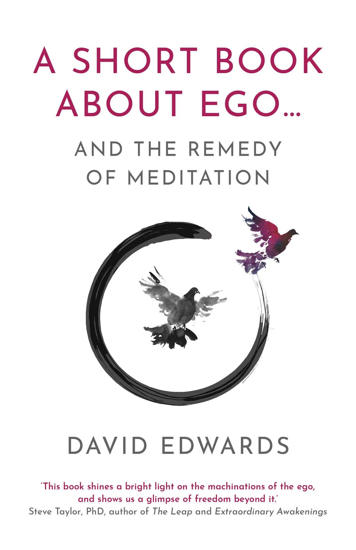 Short Book About Ego...: and the Remedy of Meditation