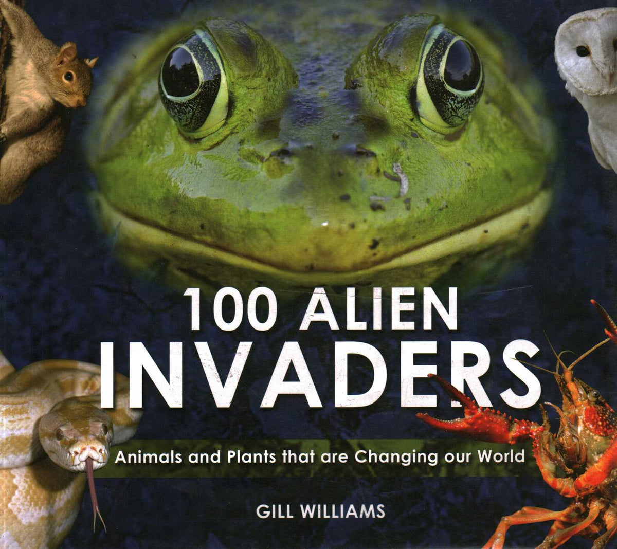 100 Alien Invaders
