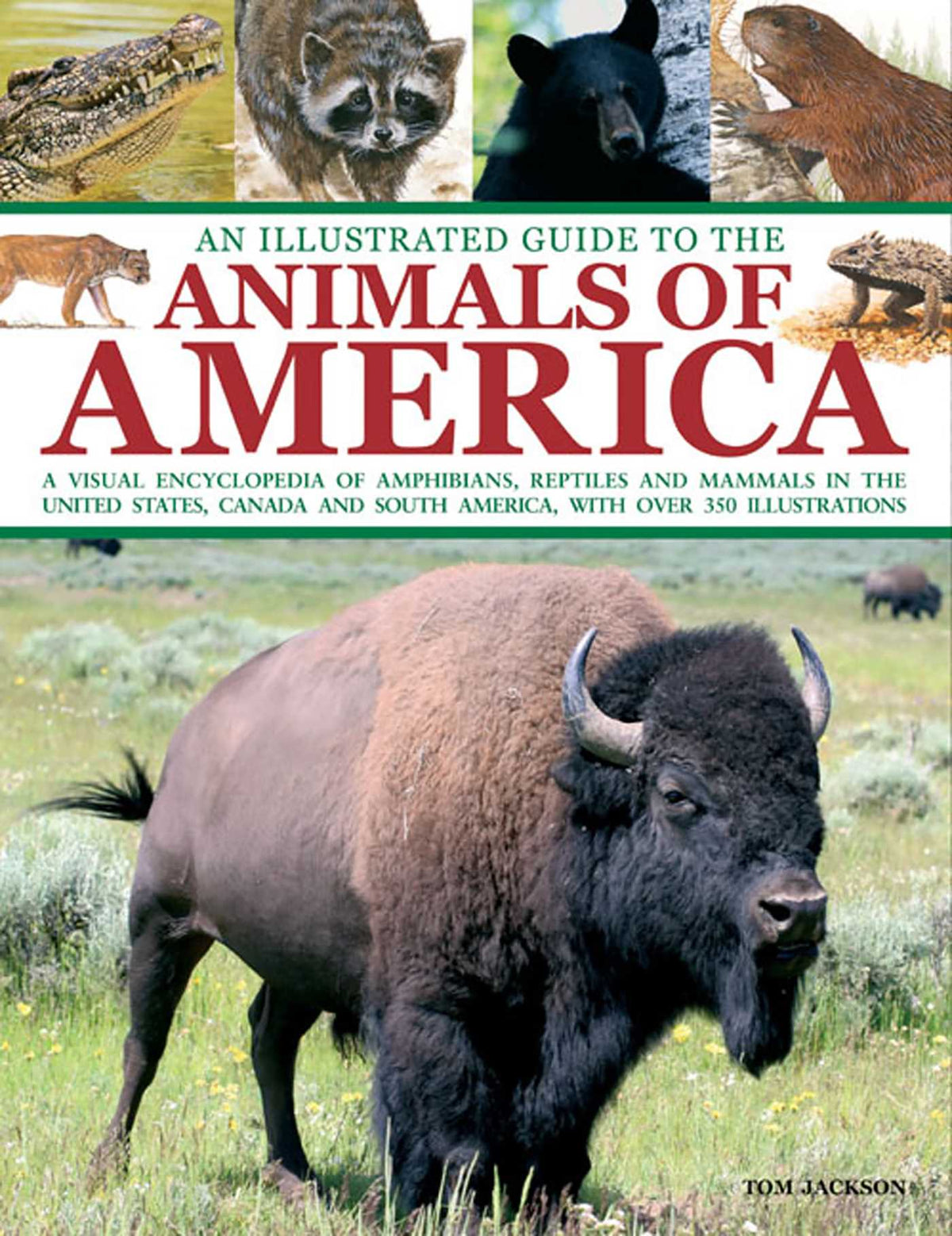 Illustrated Guide To The Animals of America