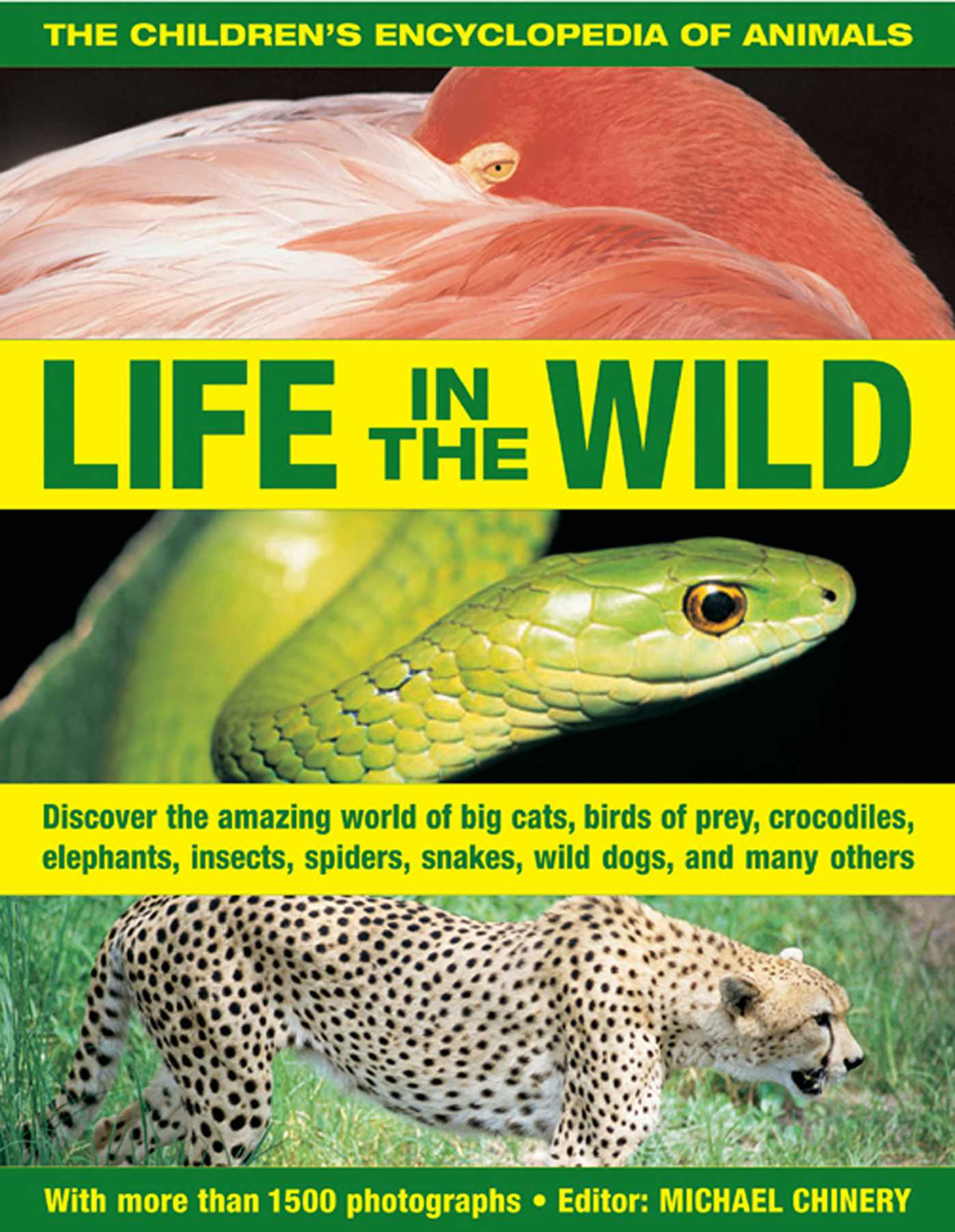 Children's Encyclopedia of Animals: Life In The Wild: Discover the amazing world of big cats, birds of prey, crocodiles, elephants, insects, spiders, snakes, wild dogs and many others