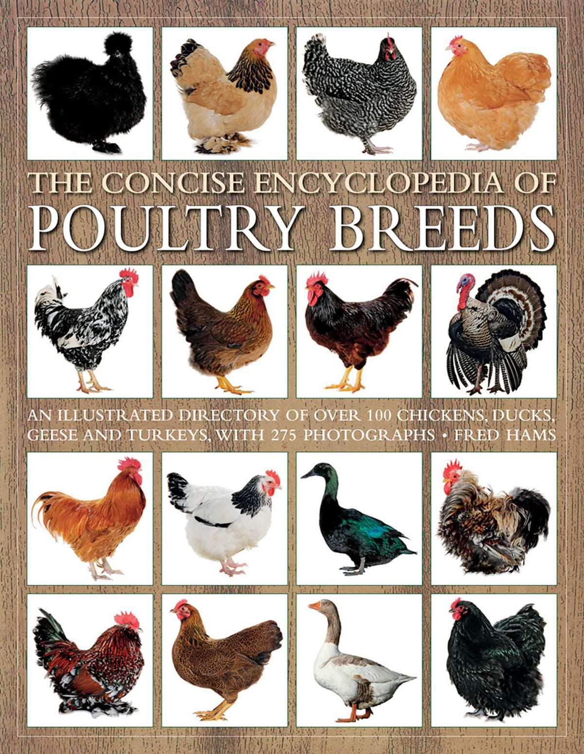 Concise Encyclopedia of Poultry Breeds: An Illustrated Directory Of Over 100 Chickens, Ducks, Geese And Turkeys, With 275 Photographs
