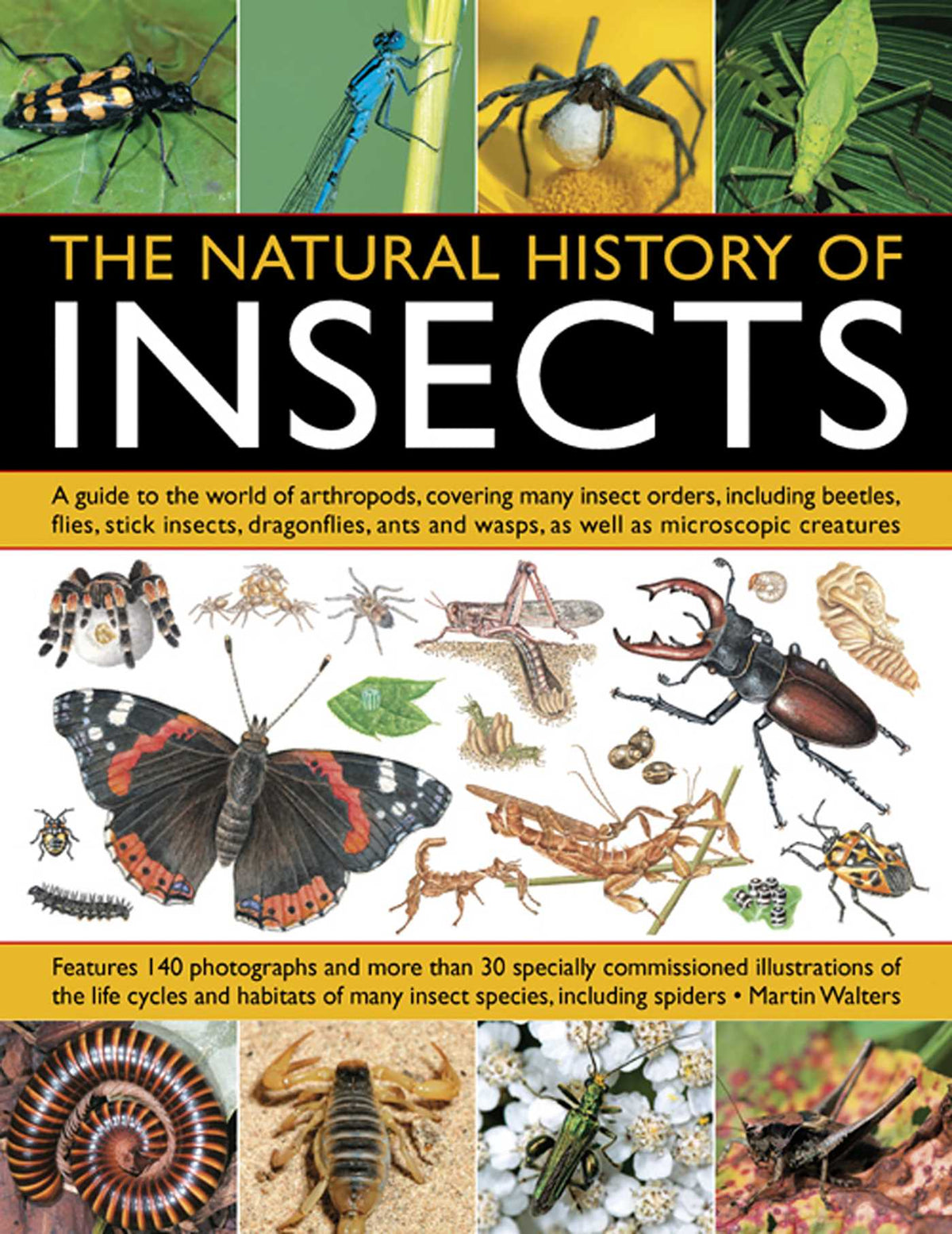 Natural History Of Insects: A Guide to the World of Arthropods, Covering Many Insect Orders, Including Beetles, Flies, Stick Insects, Dragonflies, Ants and Wasps, as well as Microscopic Creatures