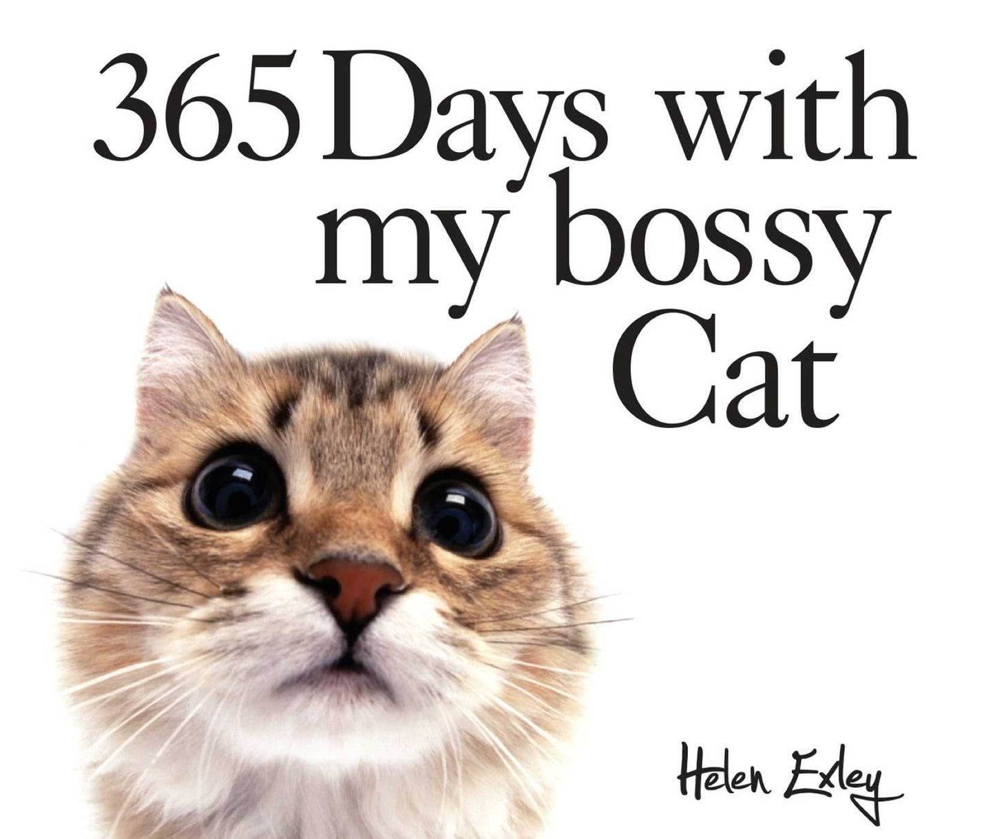 365 Days With My Bossy Cat
