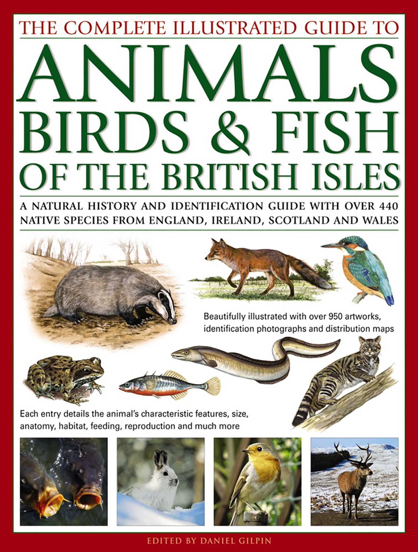 Complete Illustrated Guide to Animals, Birds & Fish of the British Isles: A Natural History And Identification Guide With Over 440 Native Species From England, Ireland, Scotland And Wales