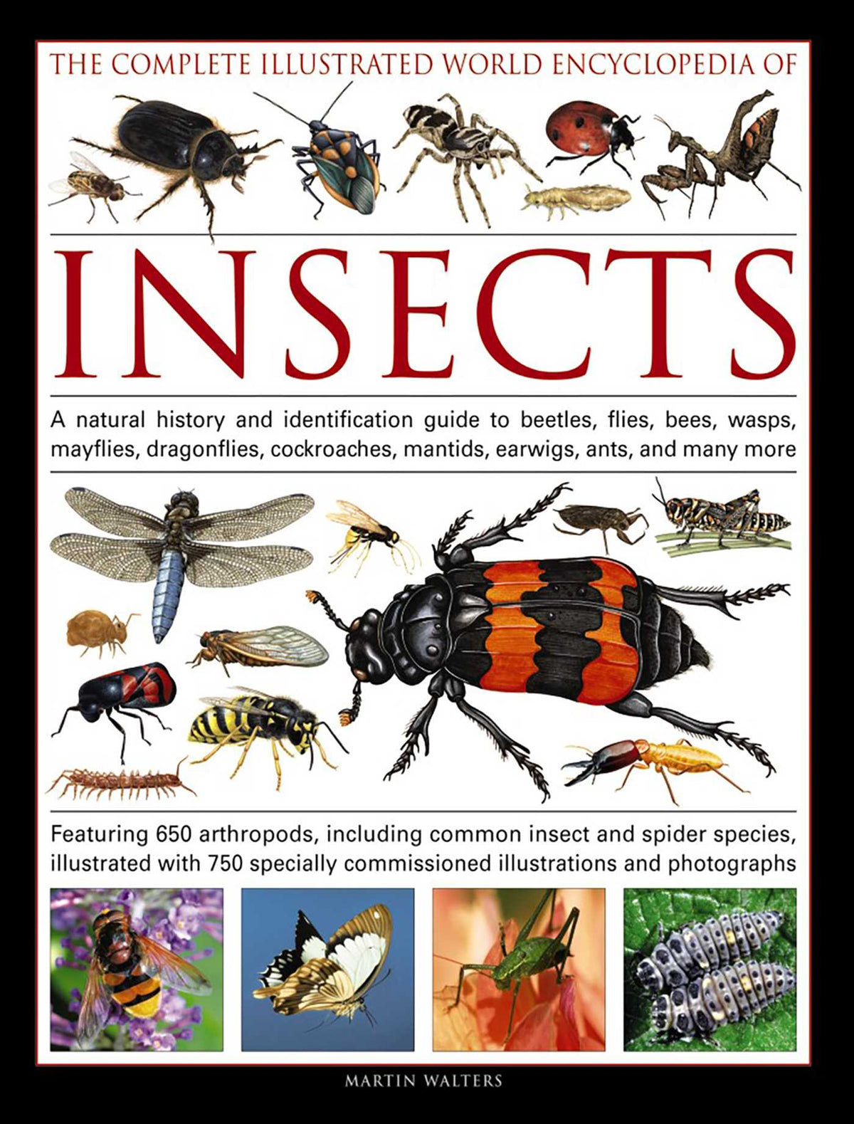 Complete Illustrated World Encyclopedia of Insects: A Natural History And Identification Guide To Beetles, Flies, Bees, Wasps, Mayflies, Dragonflies, Cockroaches, Mantids, Earwigs, Ants, And Many More