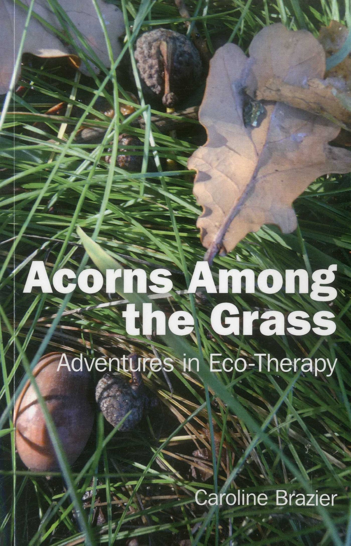 Acorns Among the Grass