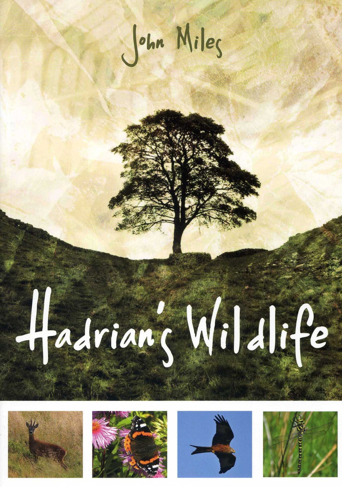 Hadrian's Wildlife