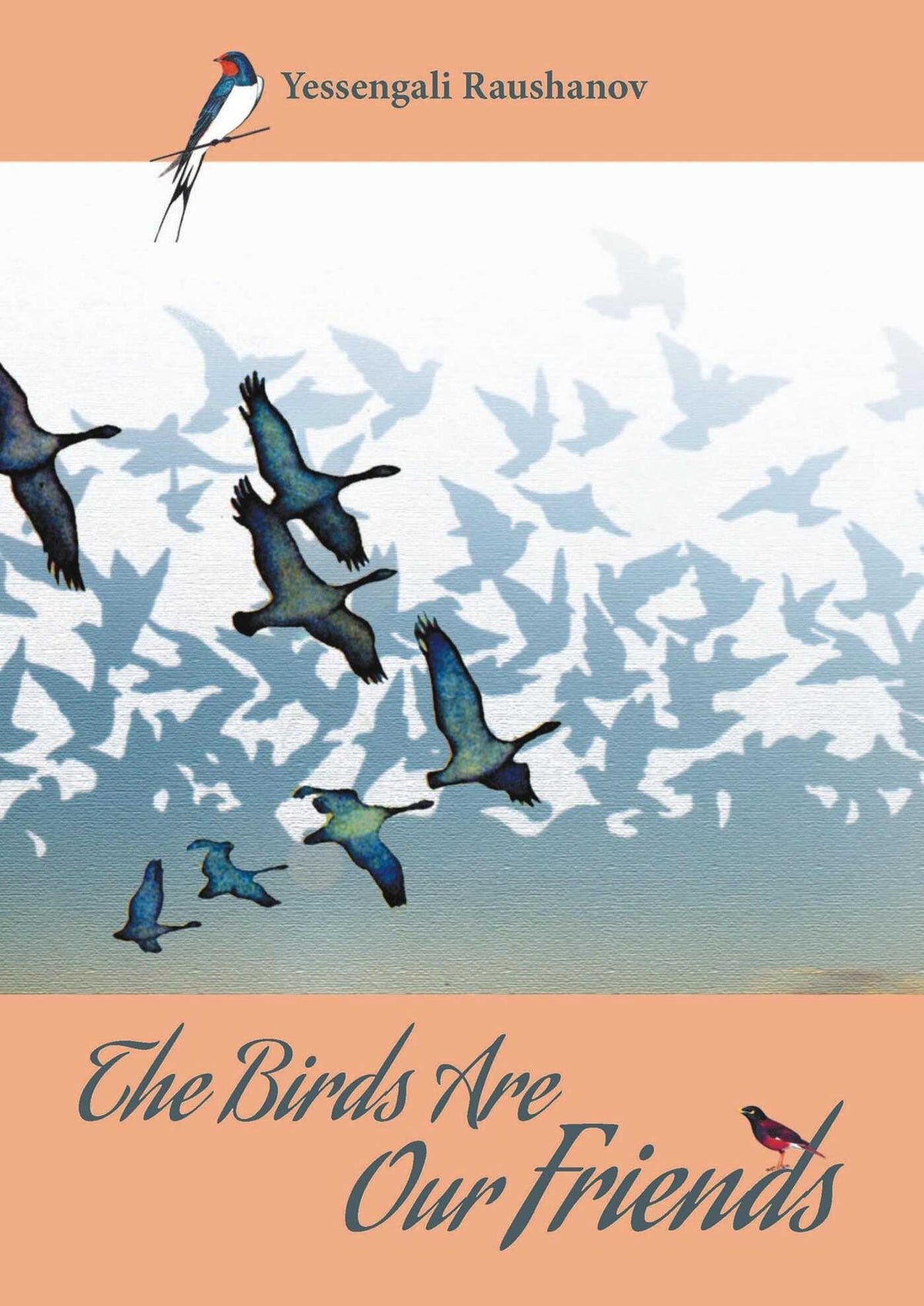 Birds are our Friends