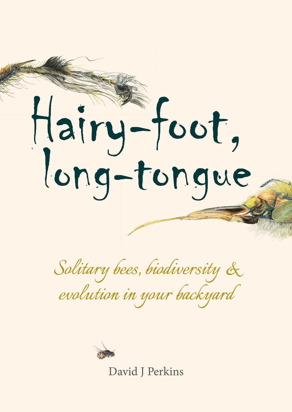 Hairy-foot, Long-tongue