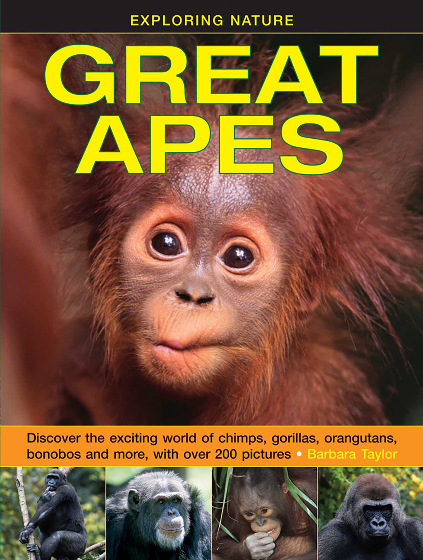 Exploring Nature: Great Apes