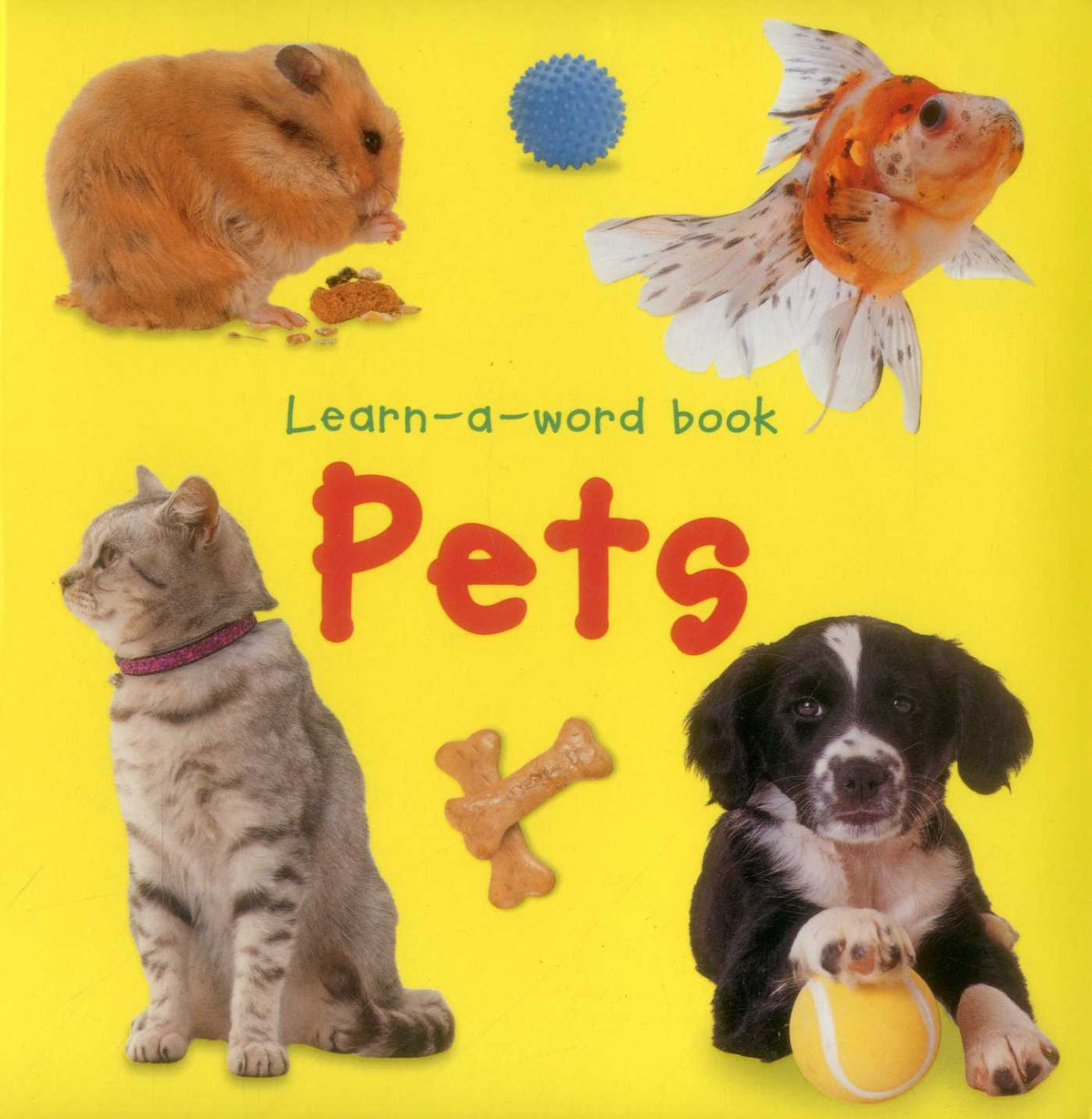 Learn-A-Word Picture Book