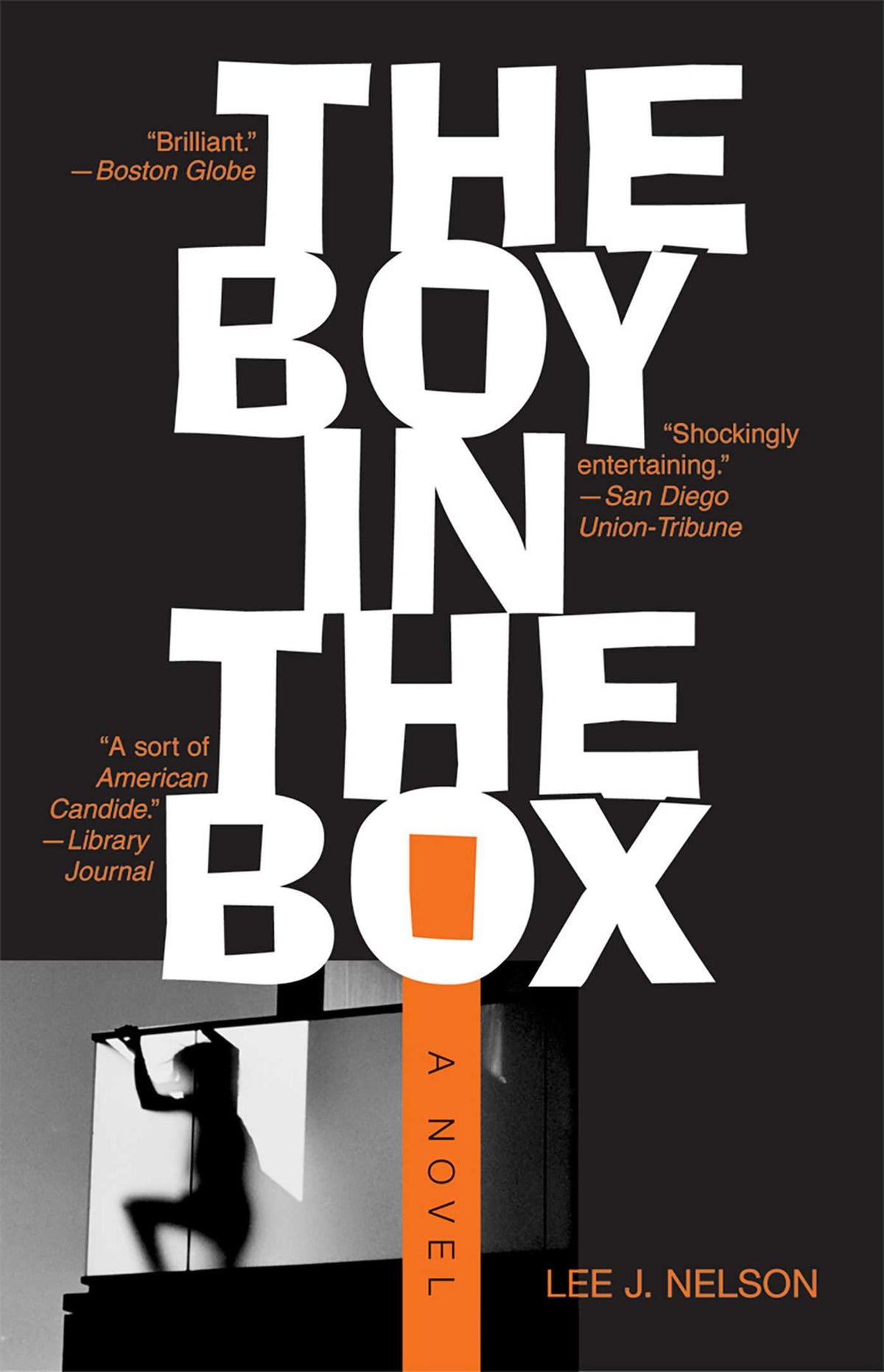 Boy in the Box: A Novel