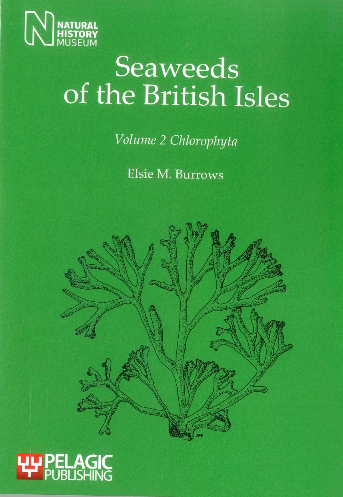 Seaweeds of the British Isles