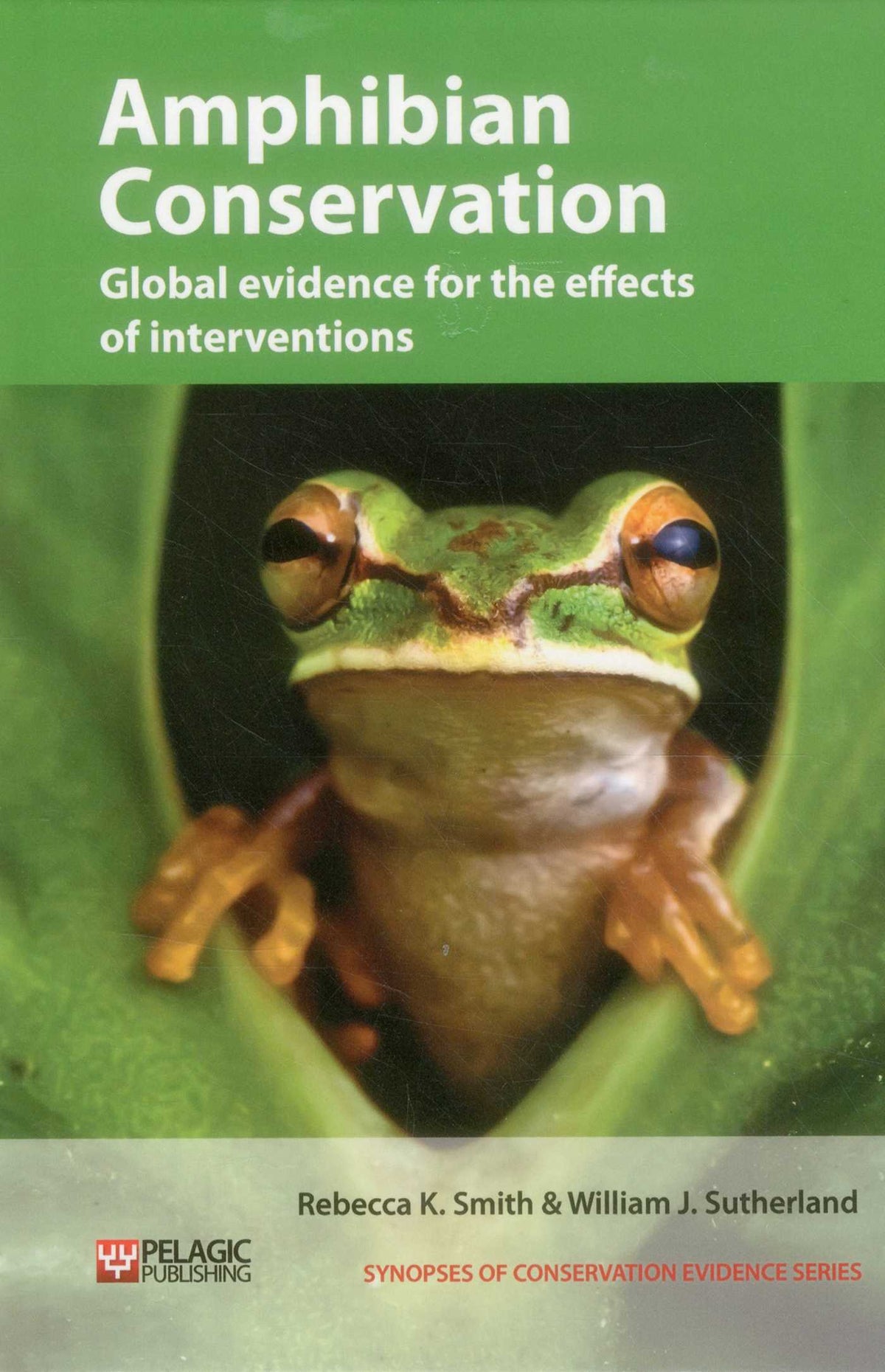 Amphibian Conservation