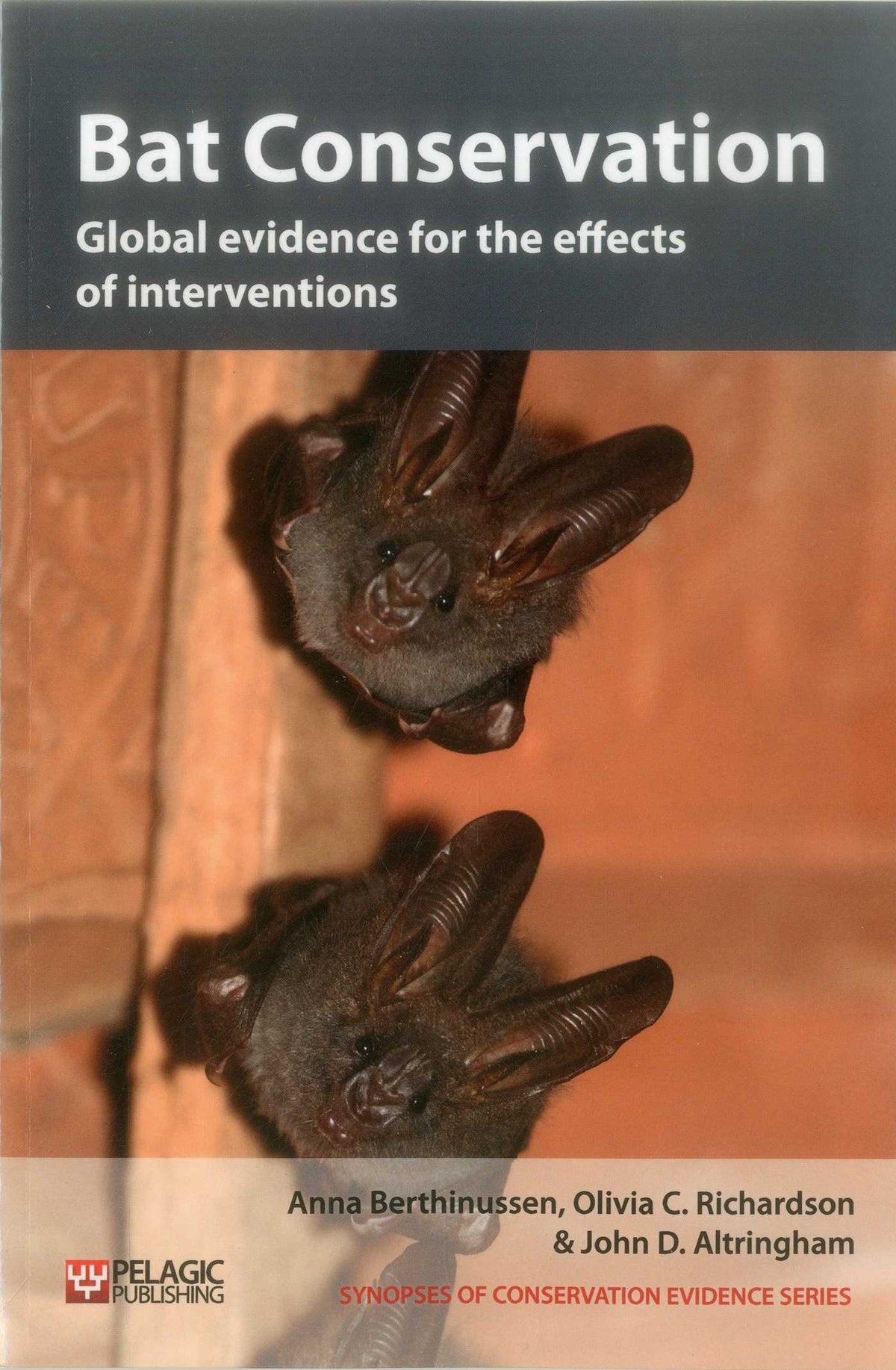 Bat Conservation