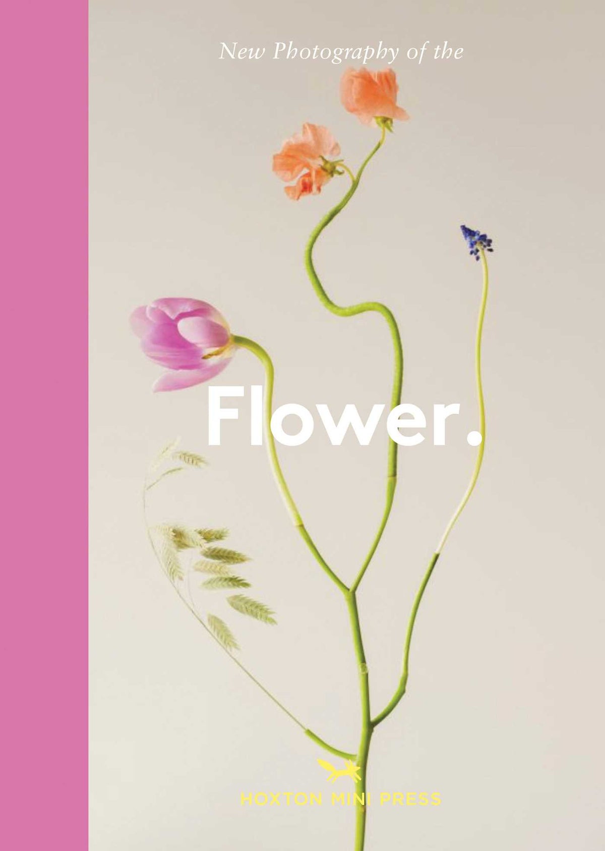 New Photography of the Flower.