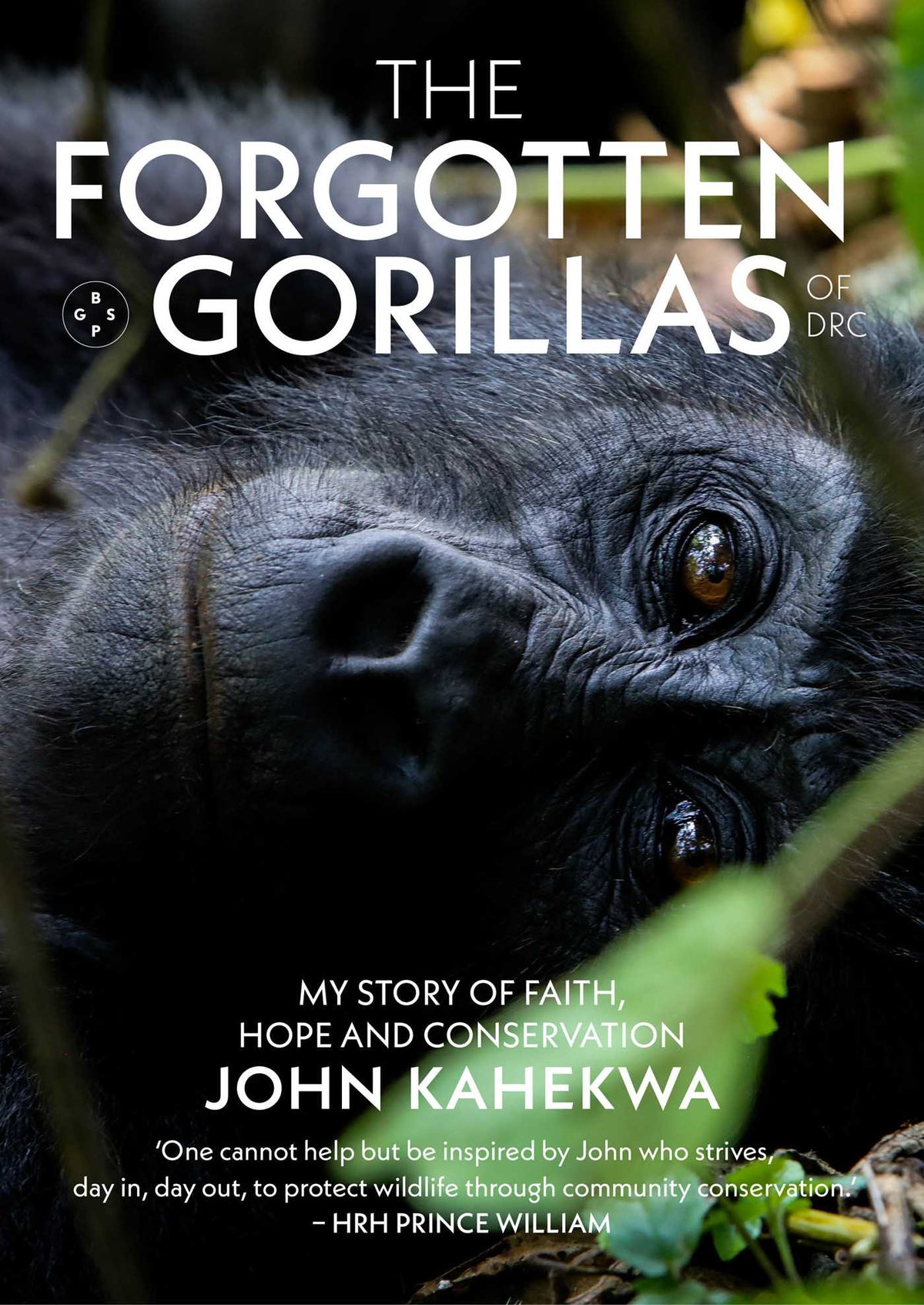 Forgotten Gorillas of DRC: my story of faith, hope and conservation