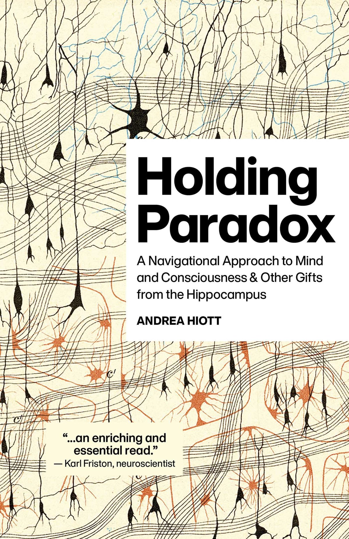 Holding Paradox