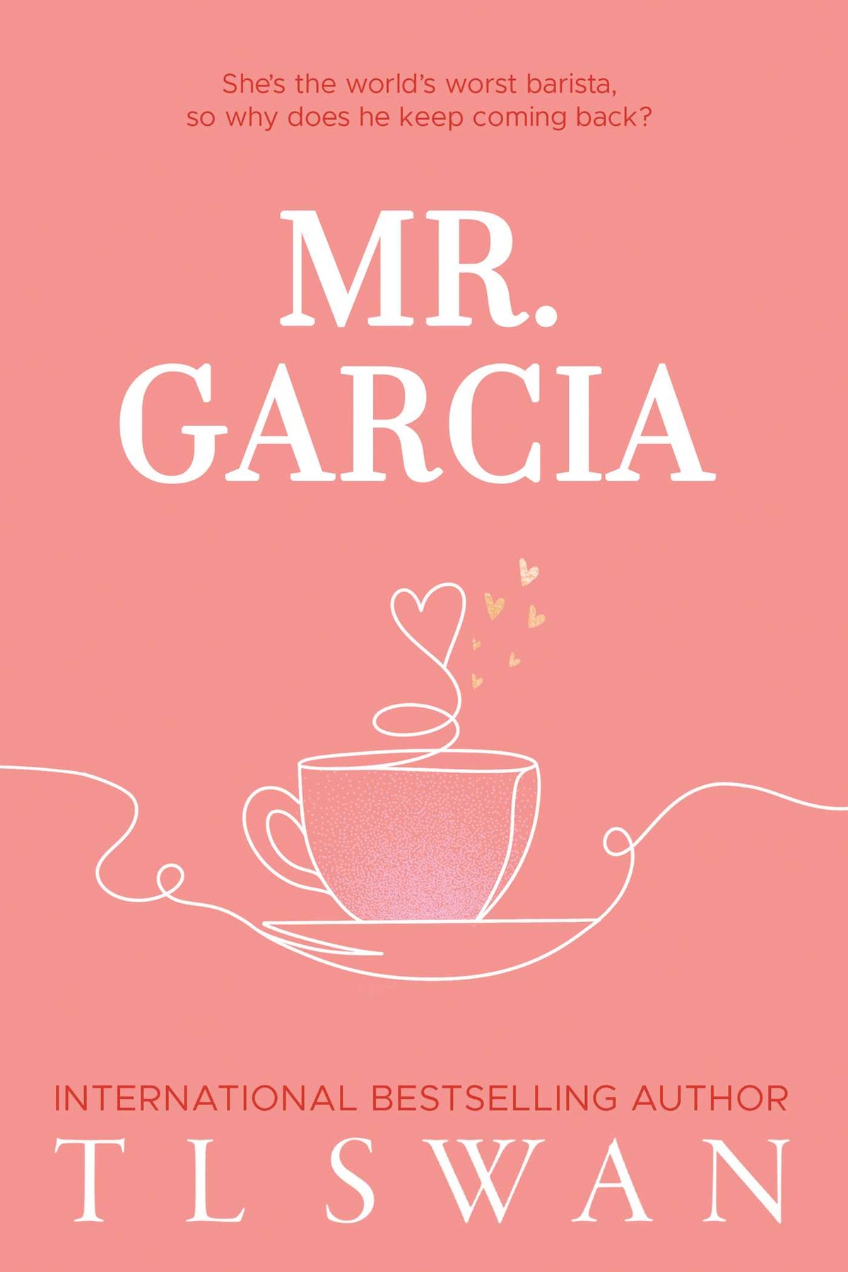 Mr. Garcia (Mr. Series Book 3)