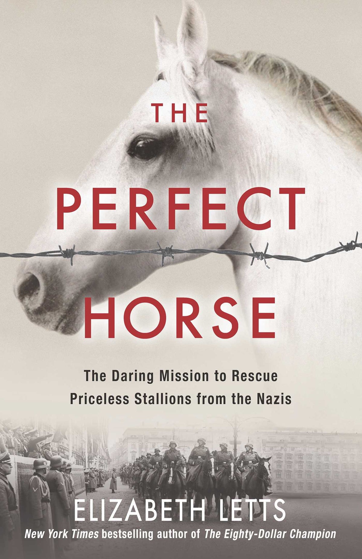 Perfect Horse