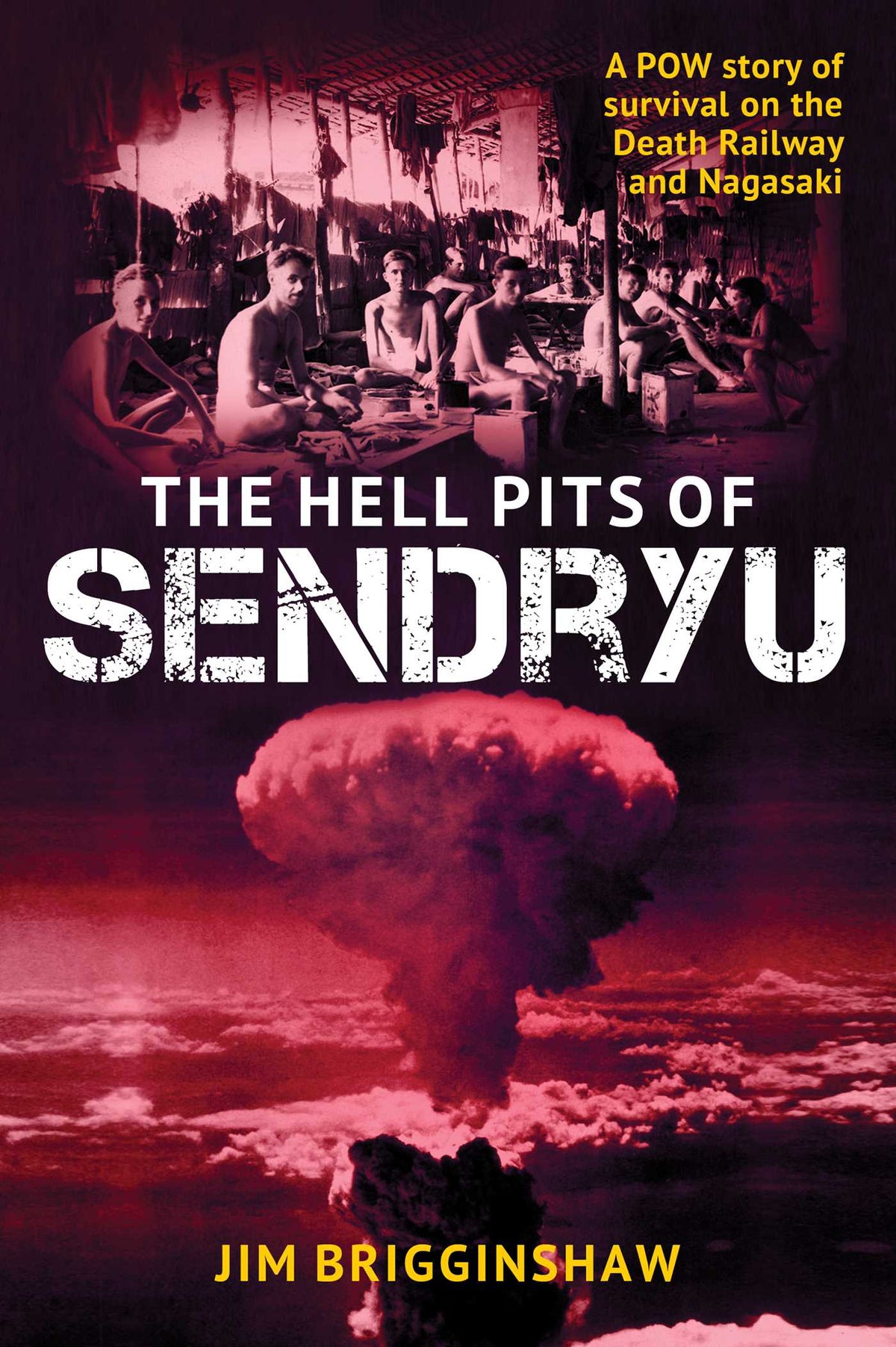 Hell Pit of Sendryu: A POW story of survival on the Death Railway and Nagasaki