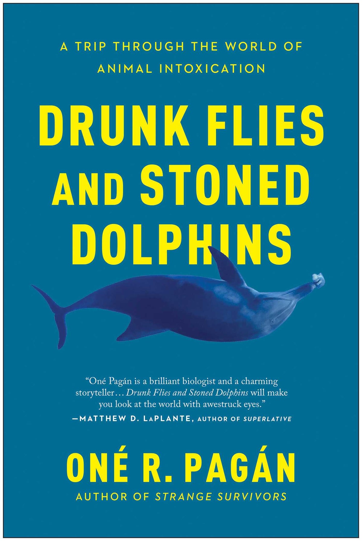 Drunk Flies and Stoned Dolphins