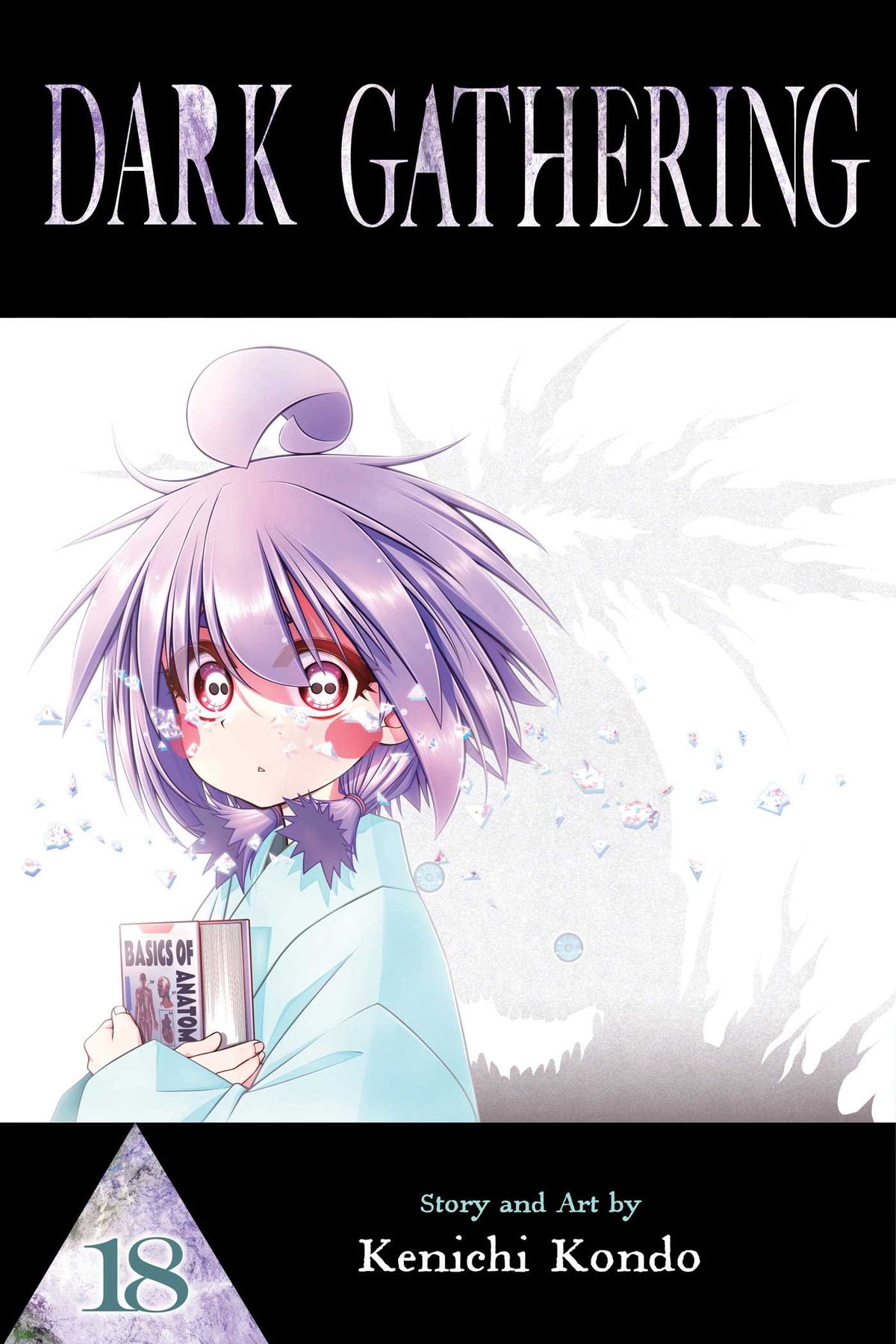Dark Gathering, Vol. 18