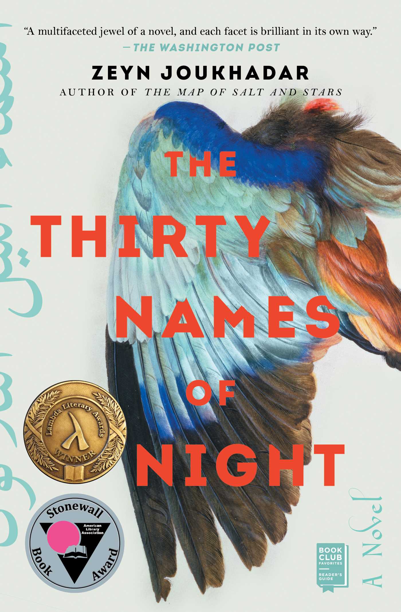 Thirty Names of Night: A Novel
