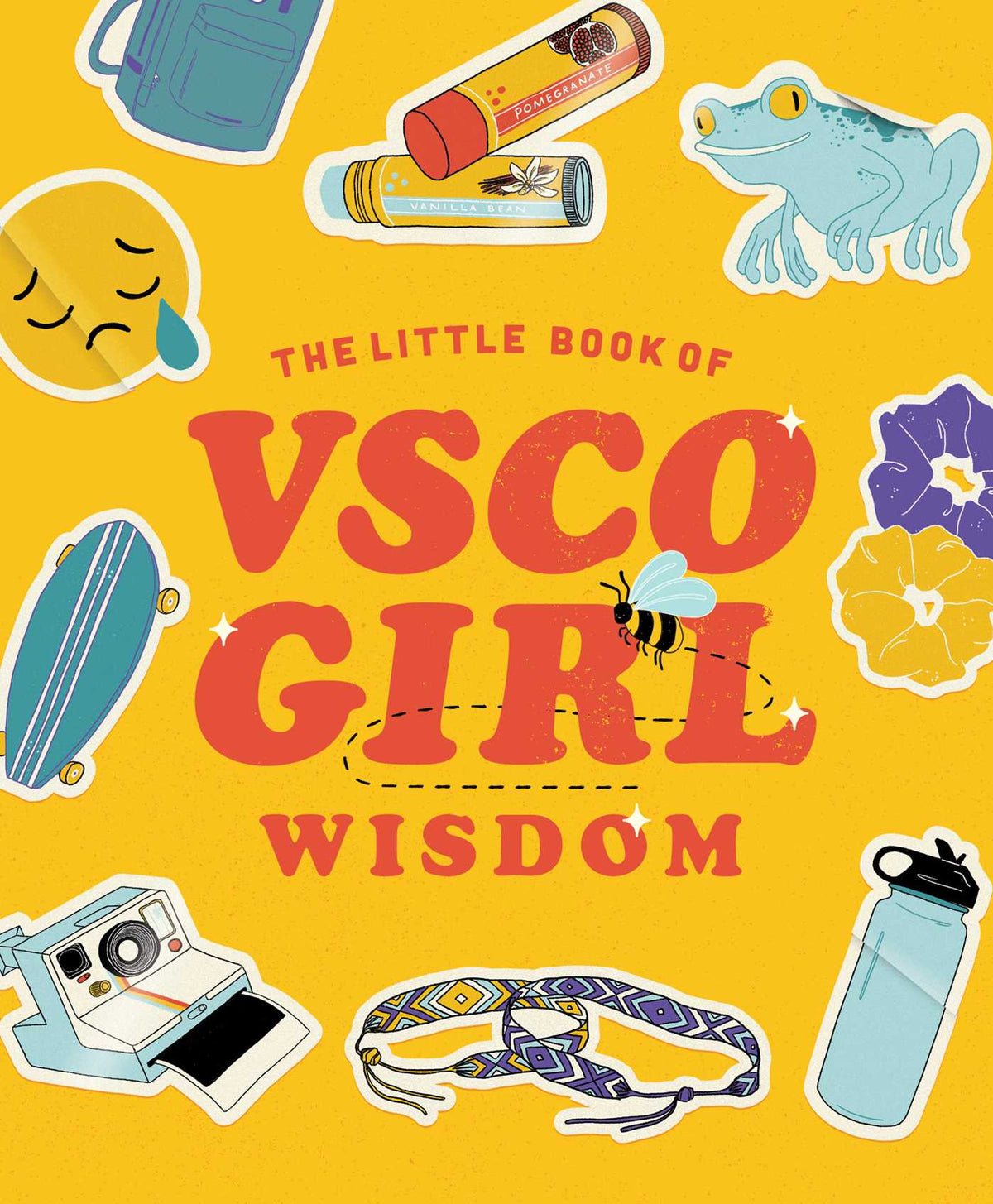 Little Book of VSCO Girl Wisdom