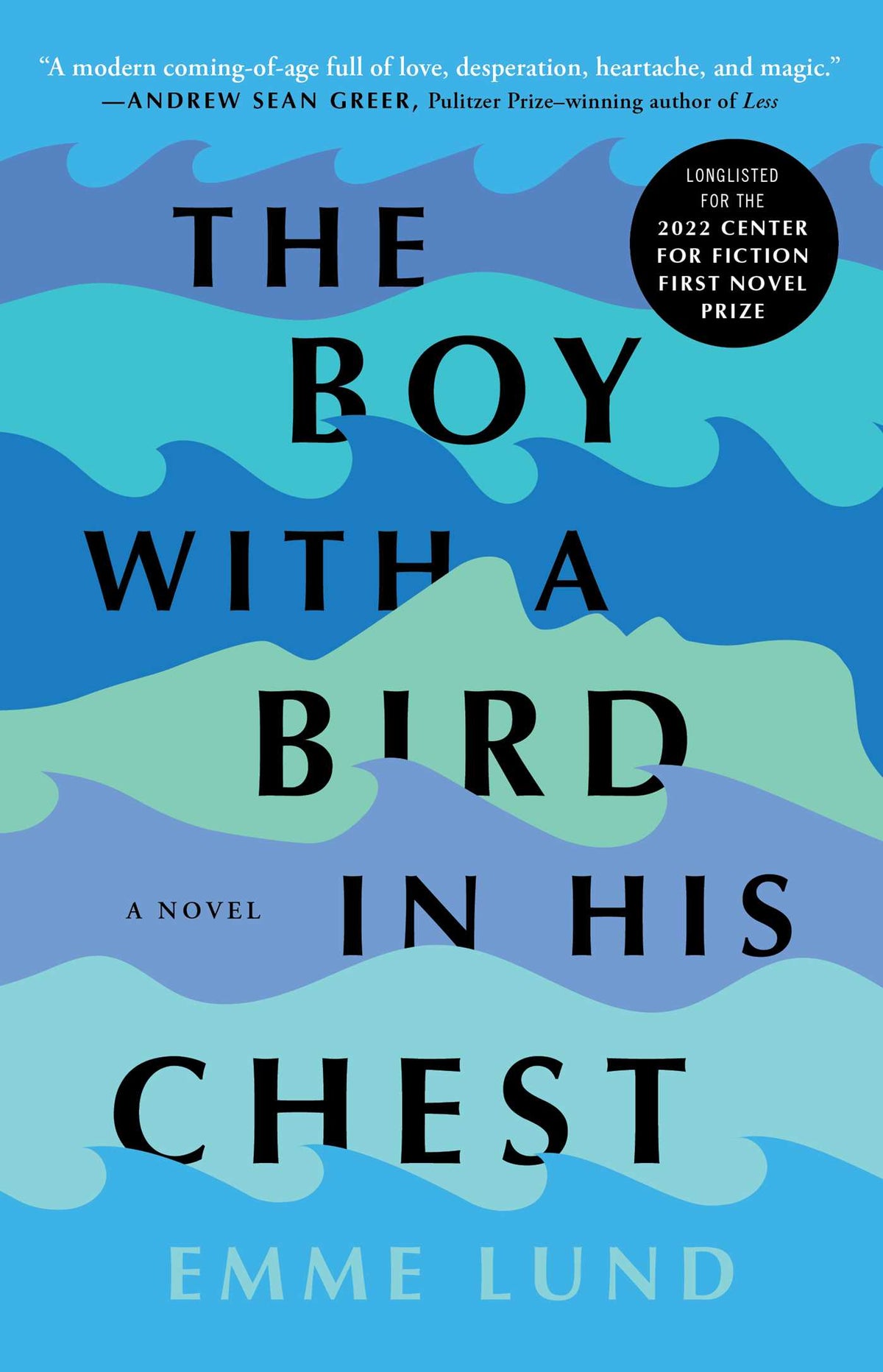 Boy with a Bird in His Chest: A Novel