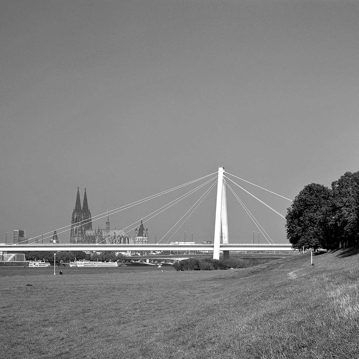 Rhine Bridges
