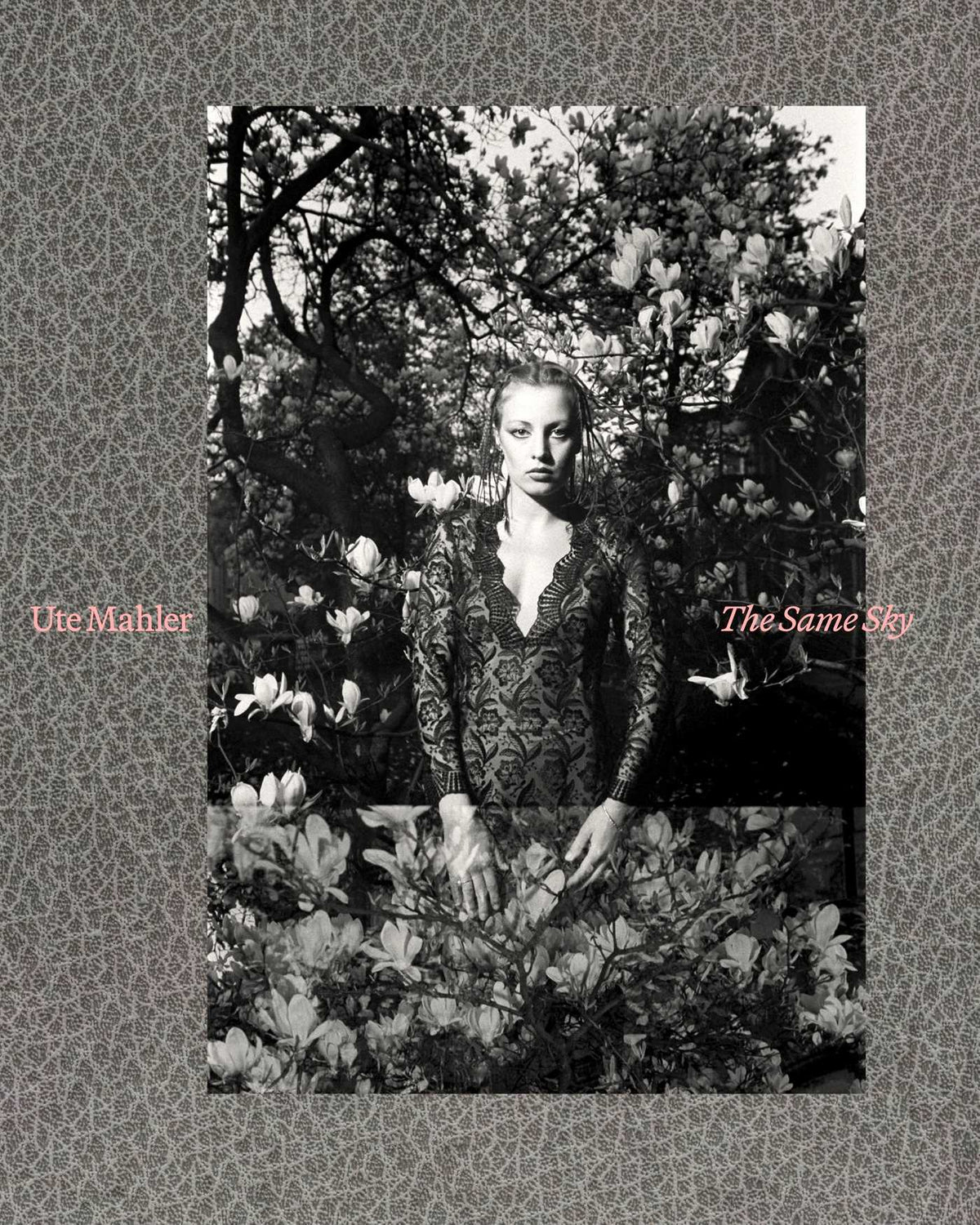 Ute Mahler - The Same Sky