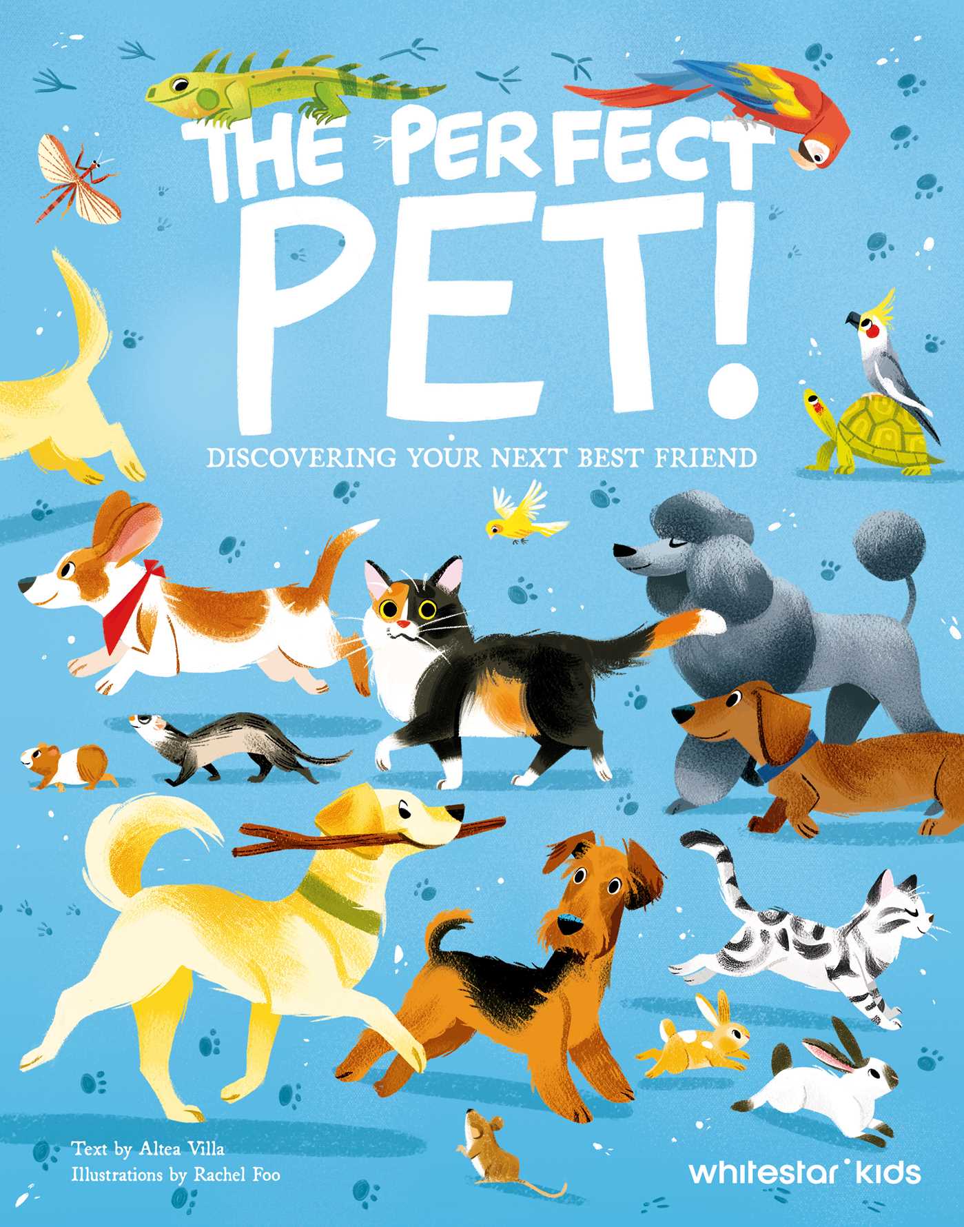 Perfect Pet : Discovering Your Next Best Friend