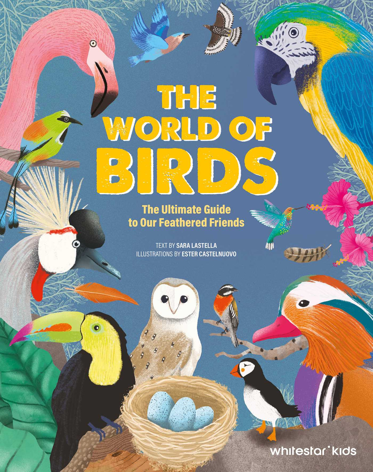 The World of Birds