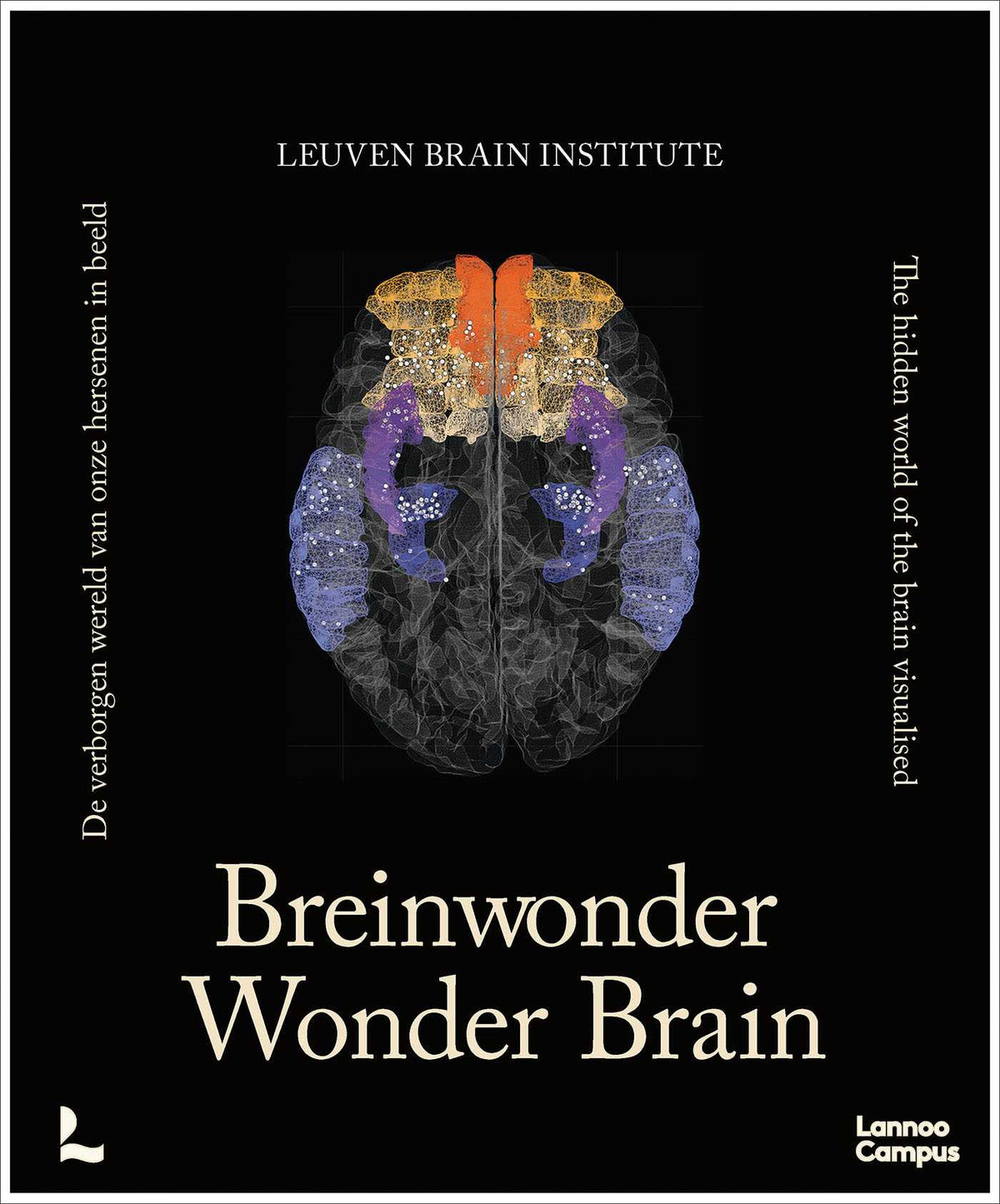 Wonder Brain