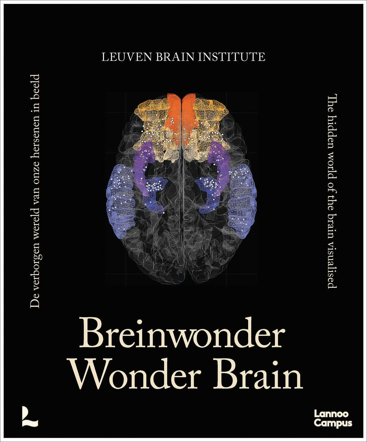 Wonder Brain