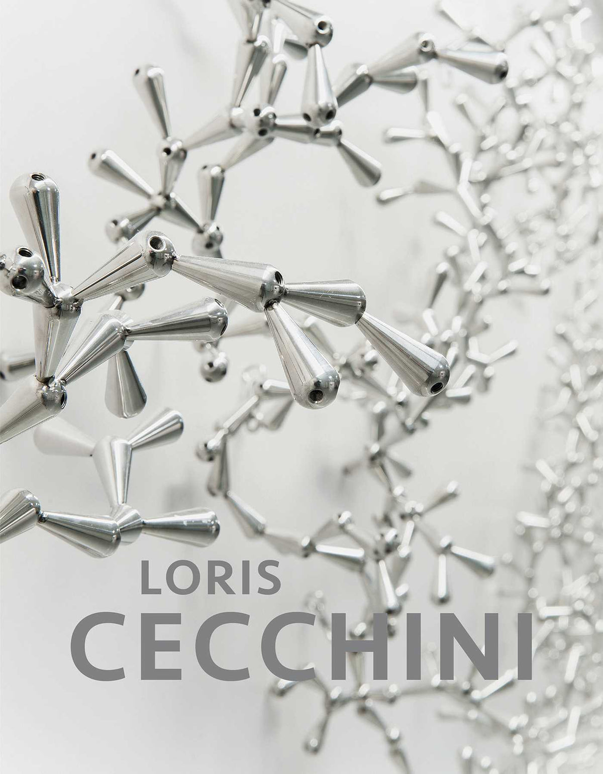 Loris Cecchini
